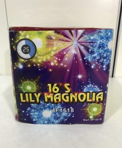 Caixa Fogo Artifício - 16 Tiros